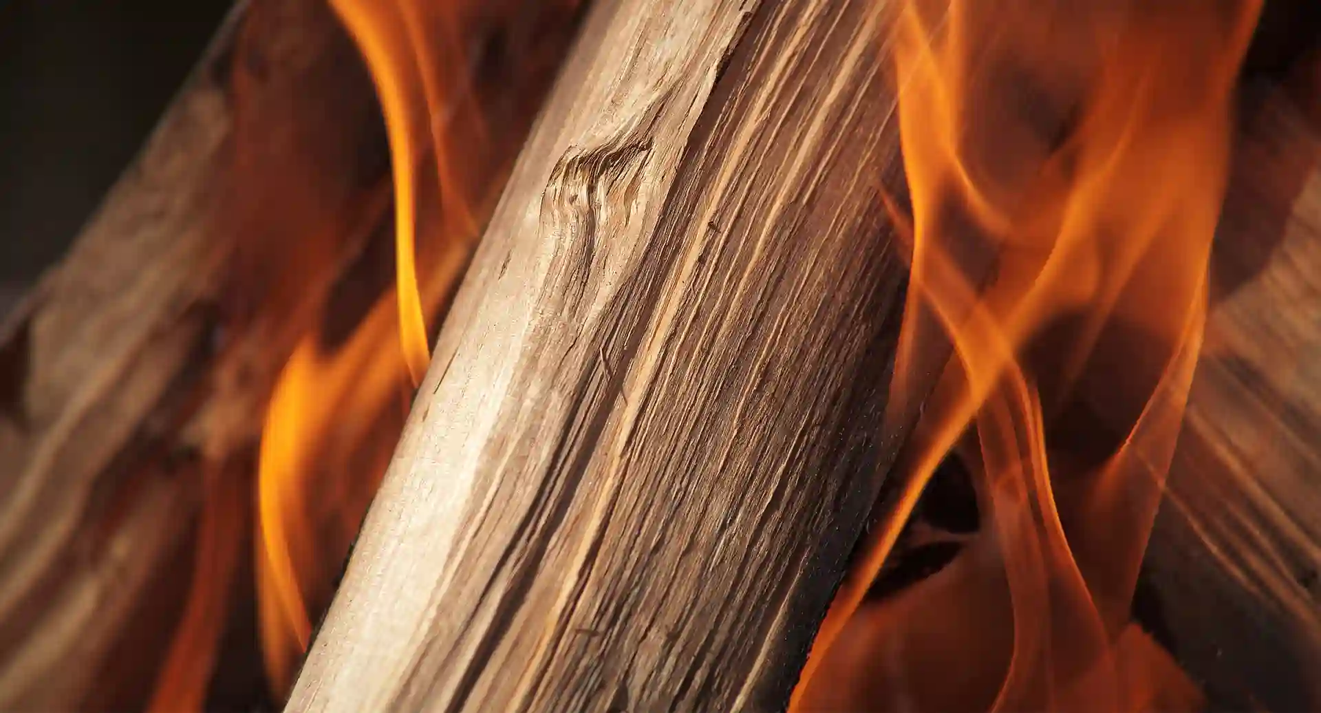 May & Glass - Gartenbau Landsberg